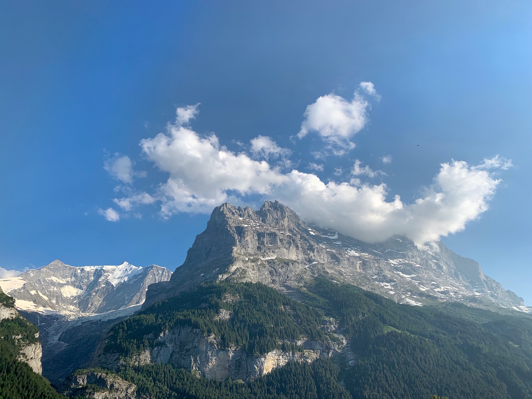 grindelwald, switzerland, the-alyst.com