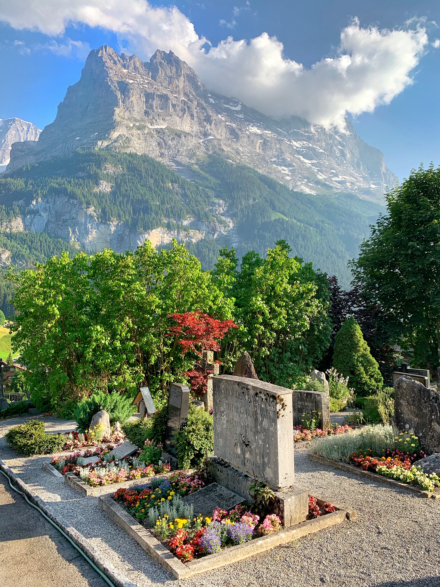 grindelwald, switzerland, the-alyst.com