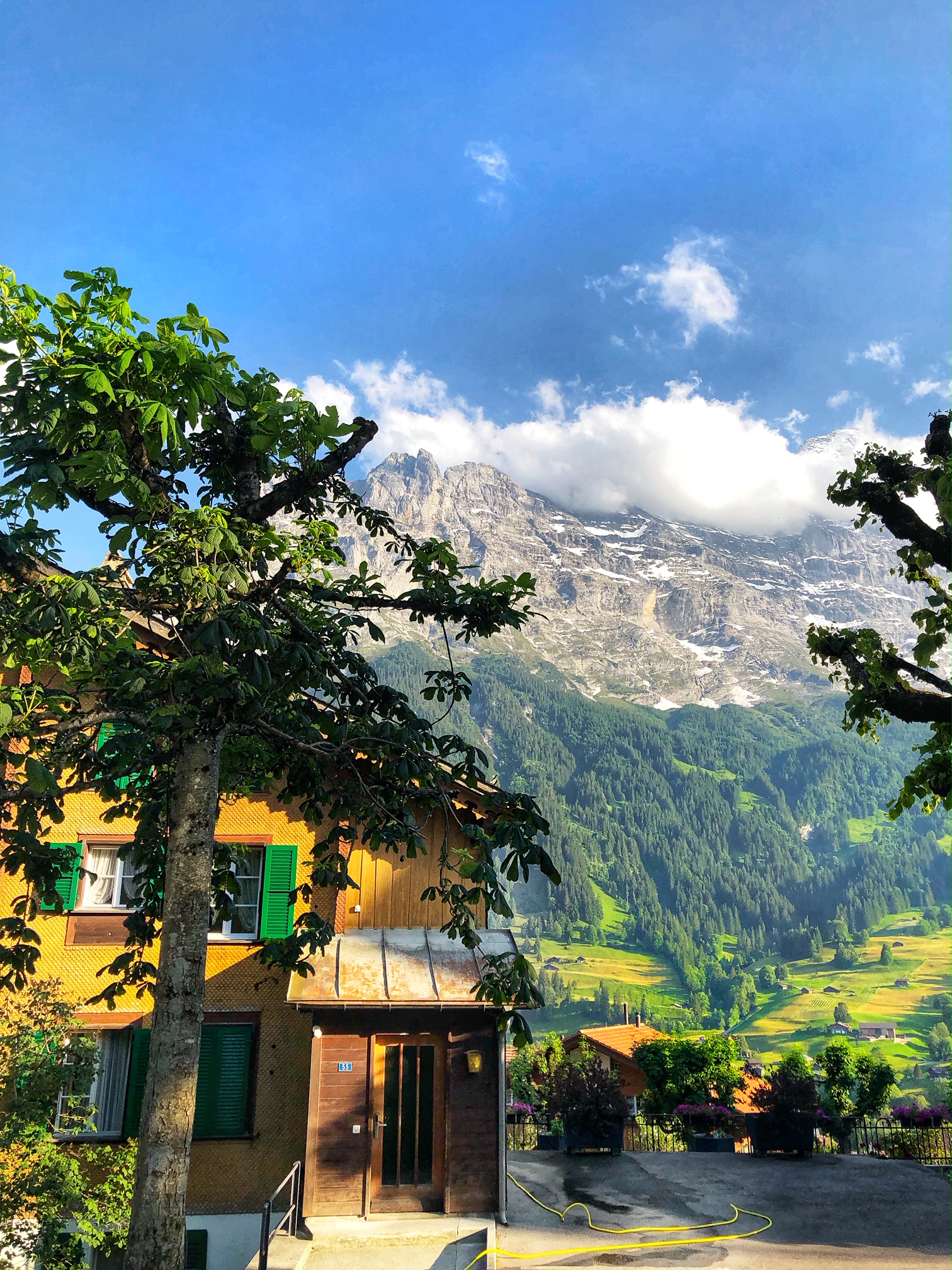 grindelwald, switzerland, the-alyst.com