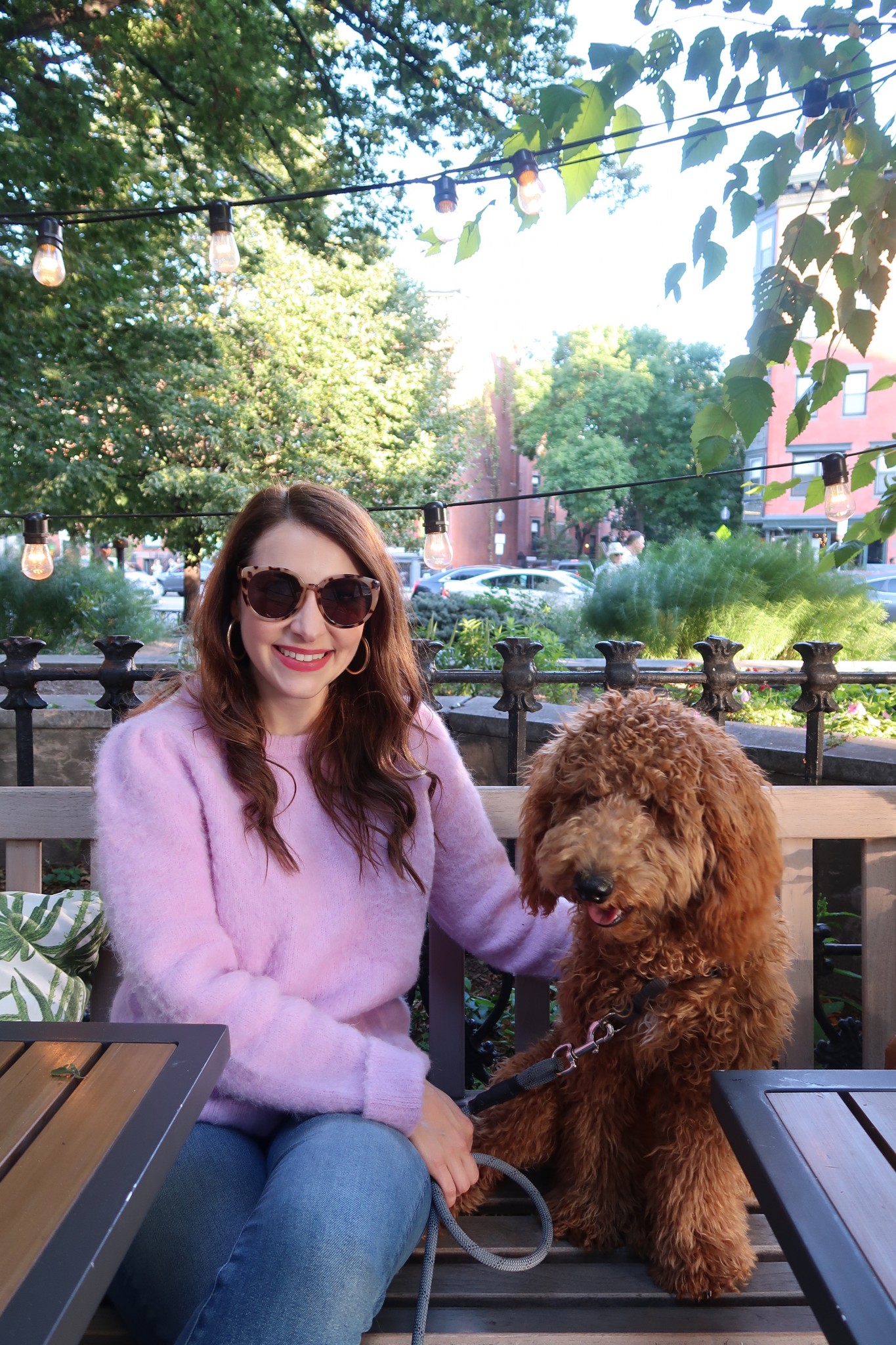 dog friendly patios in boston, the-alyst.com