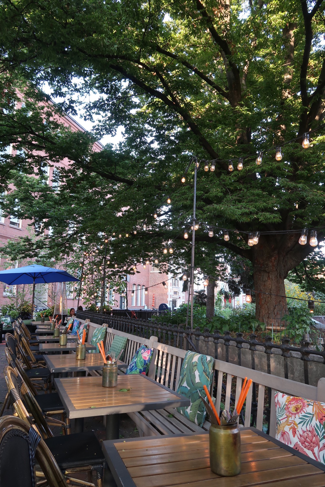 dog friendly patios in boston, the-alyst.com