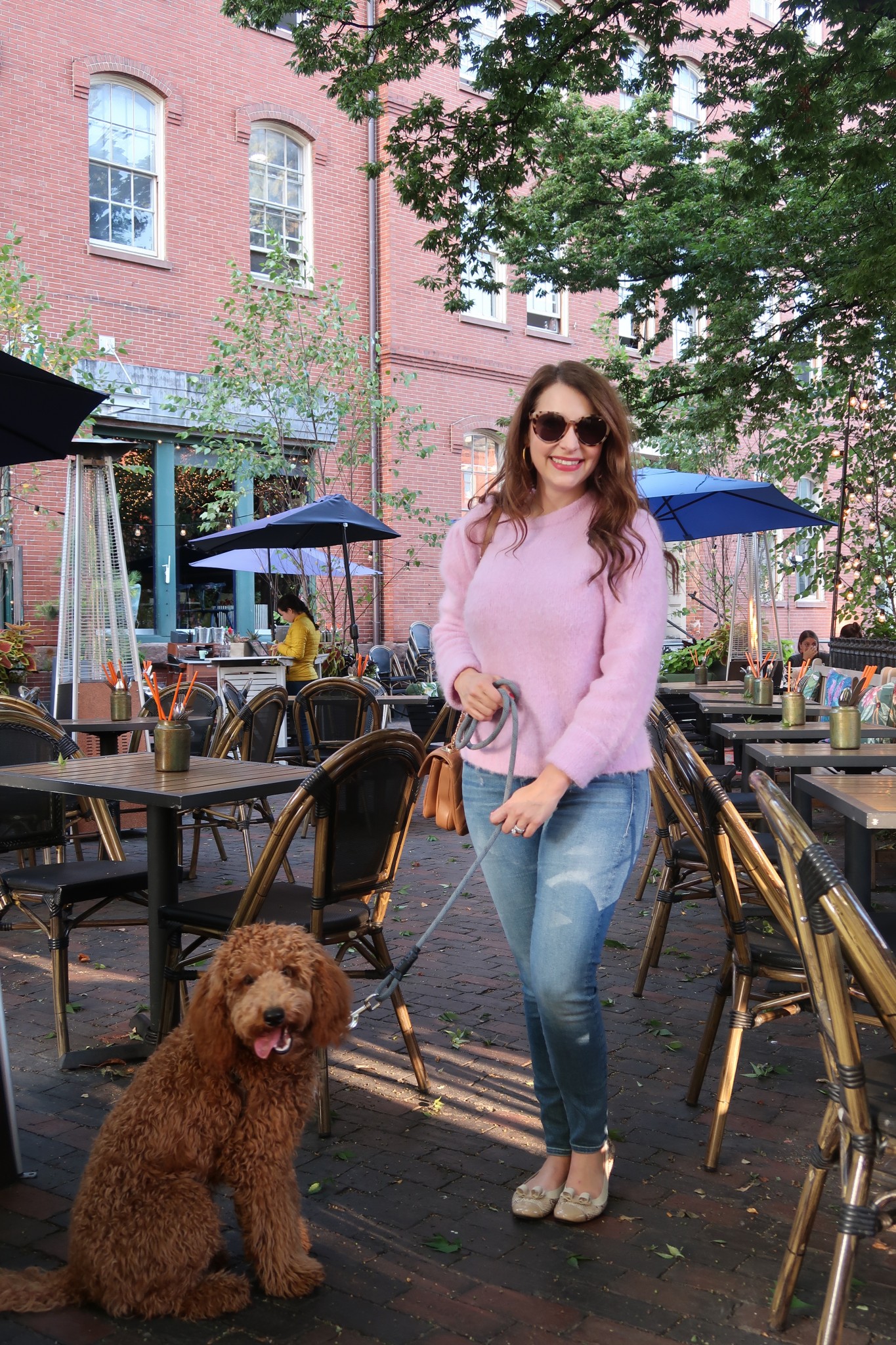 dog friendly patios in boston, the-alyst.com