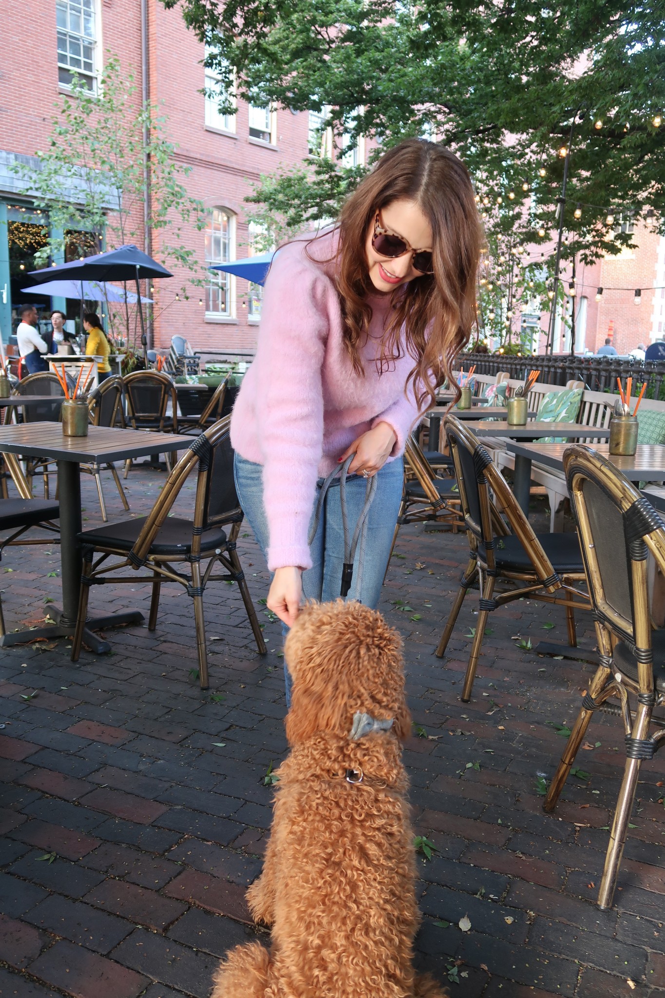 dog friendly patios in boston, the-alyst.com