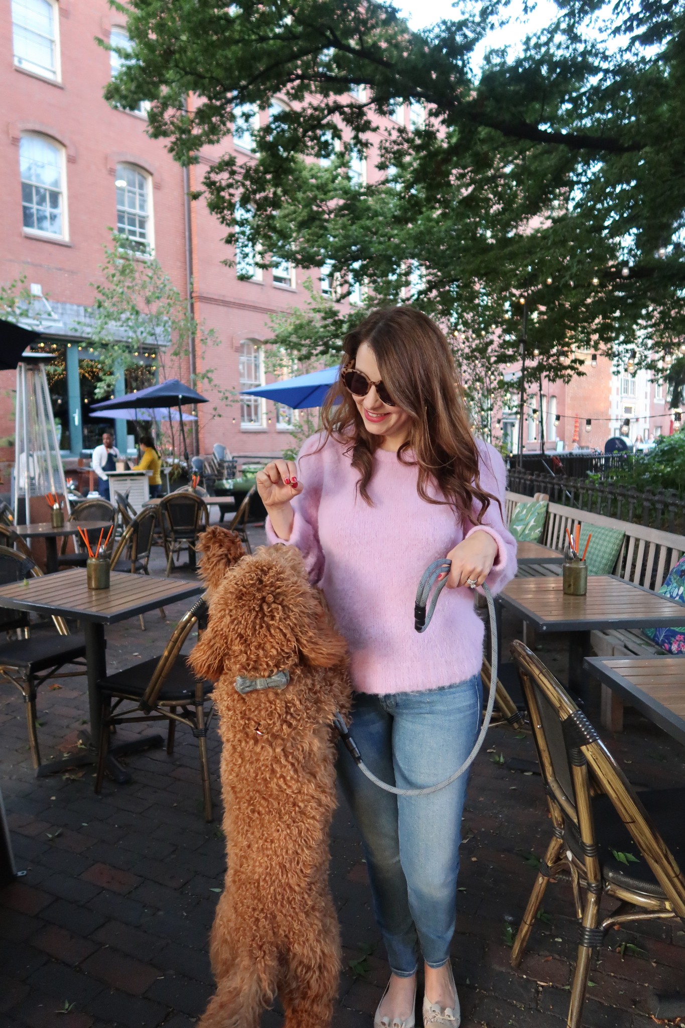 dog friendly patios in boston, the-alyst.com