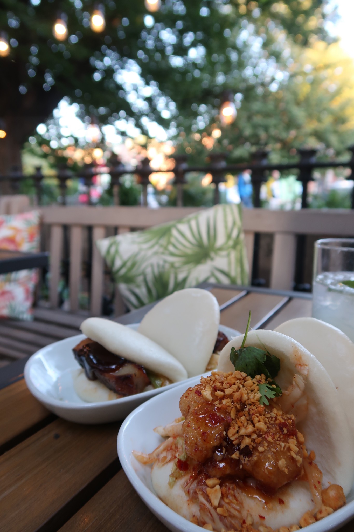 dog friendly patios in boston, the-alyst.com