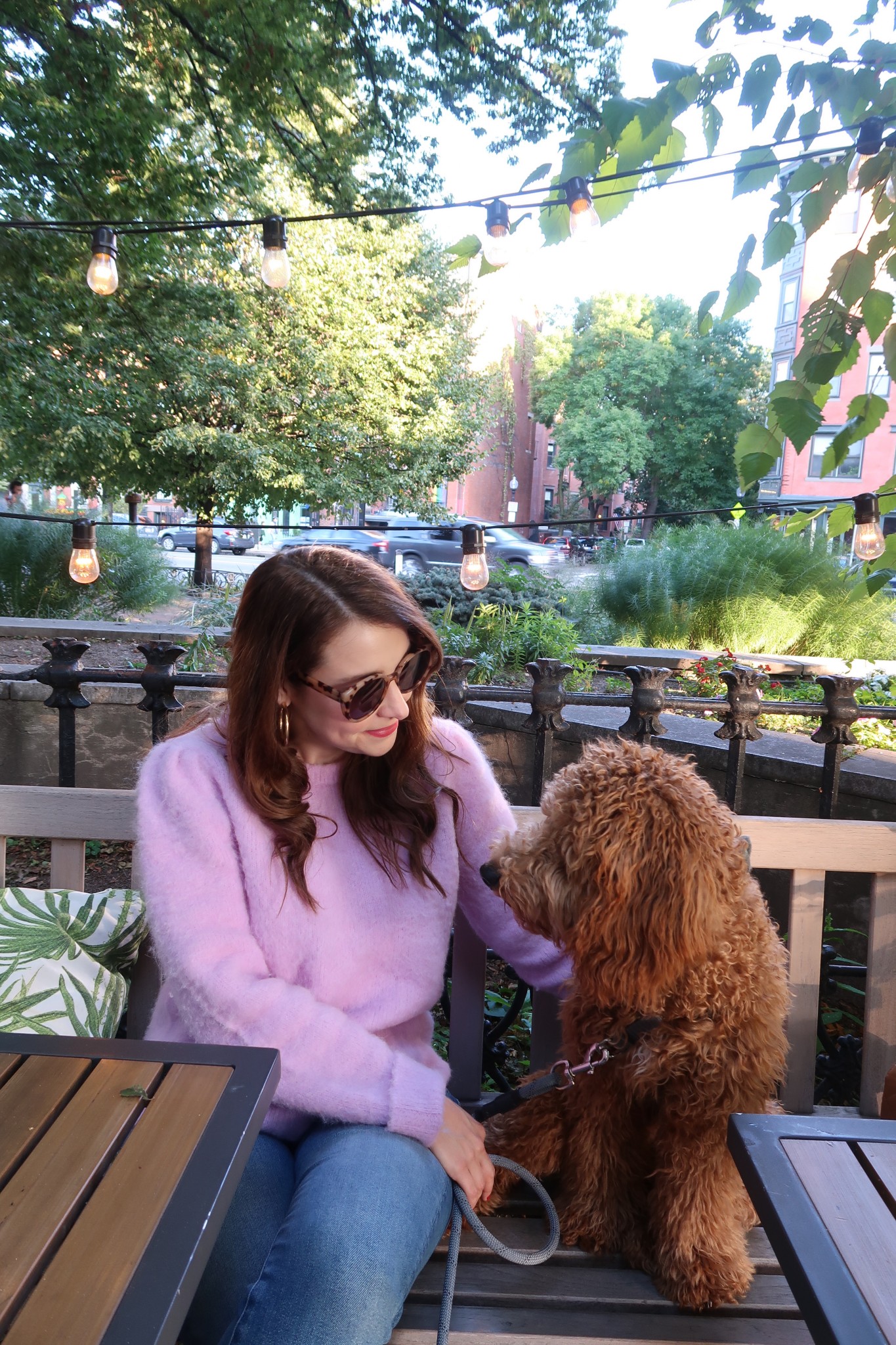 dog friendly patios in boston, the-alyst.com