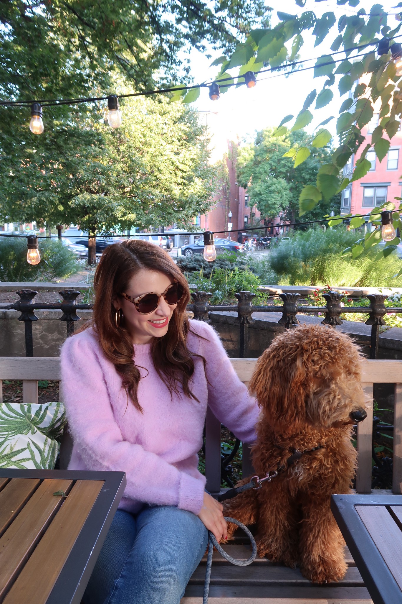 dog friendly patios in boston, the-alyst.com