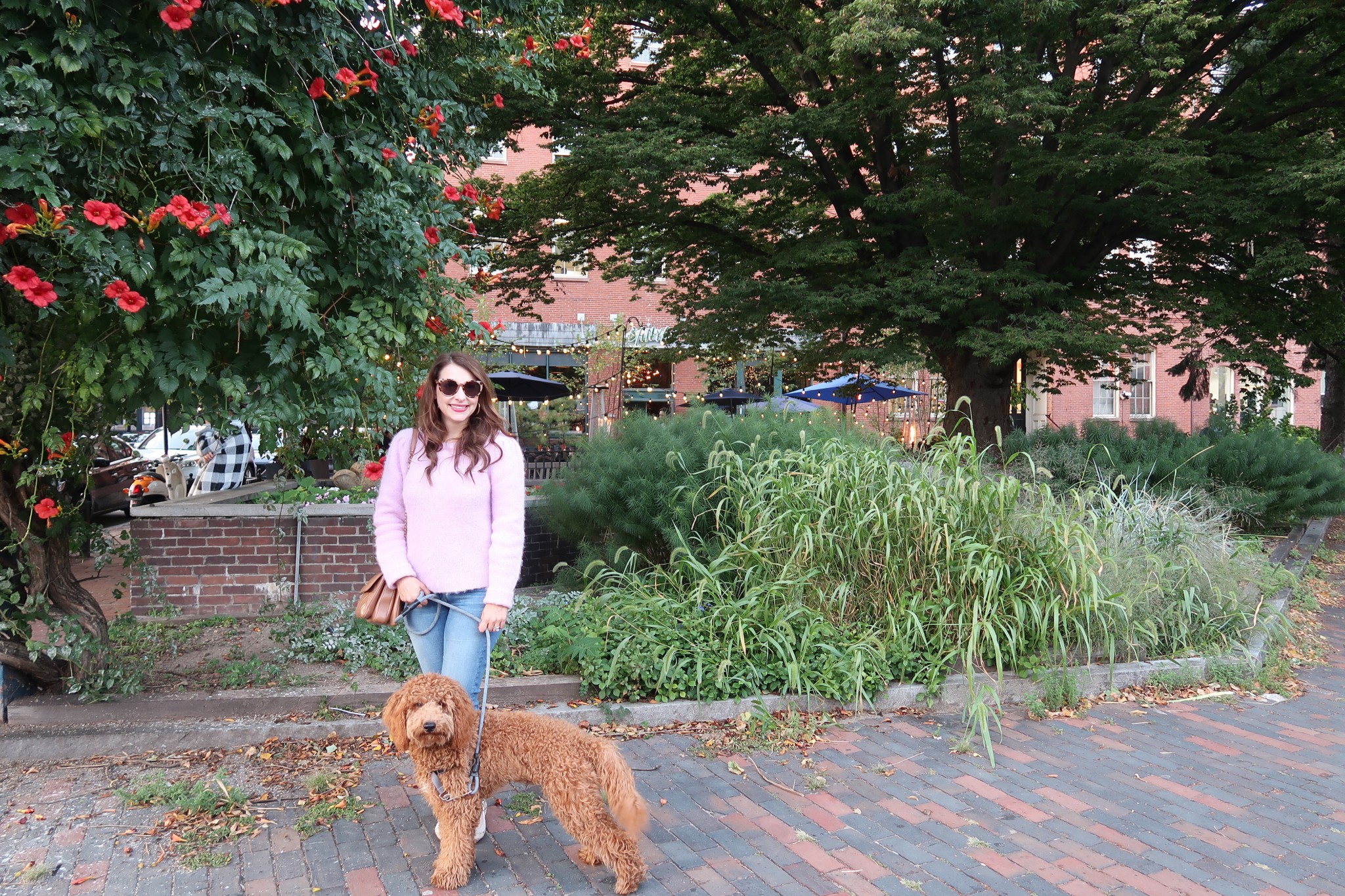dog friendly patios in boston, the-alyst.com