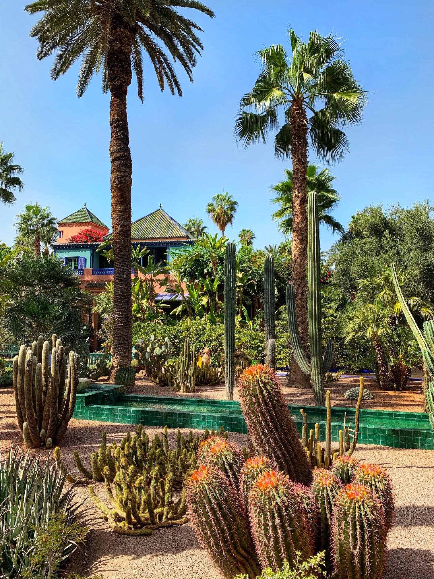 jardin majorelle, ysl museum marrakech, the-alyst.com