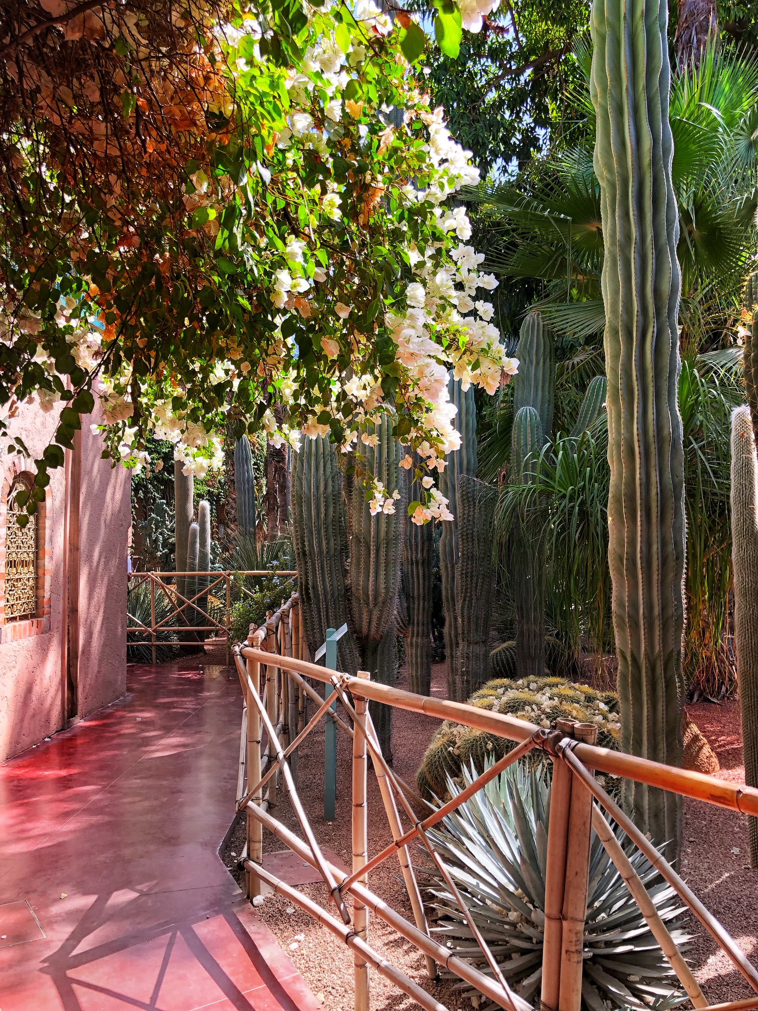 jardin majorelle, ysl museum marrakech, the-alyst.com
