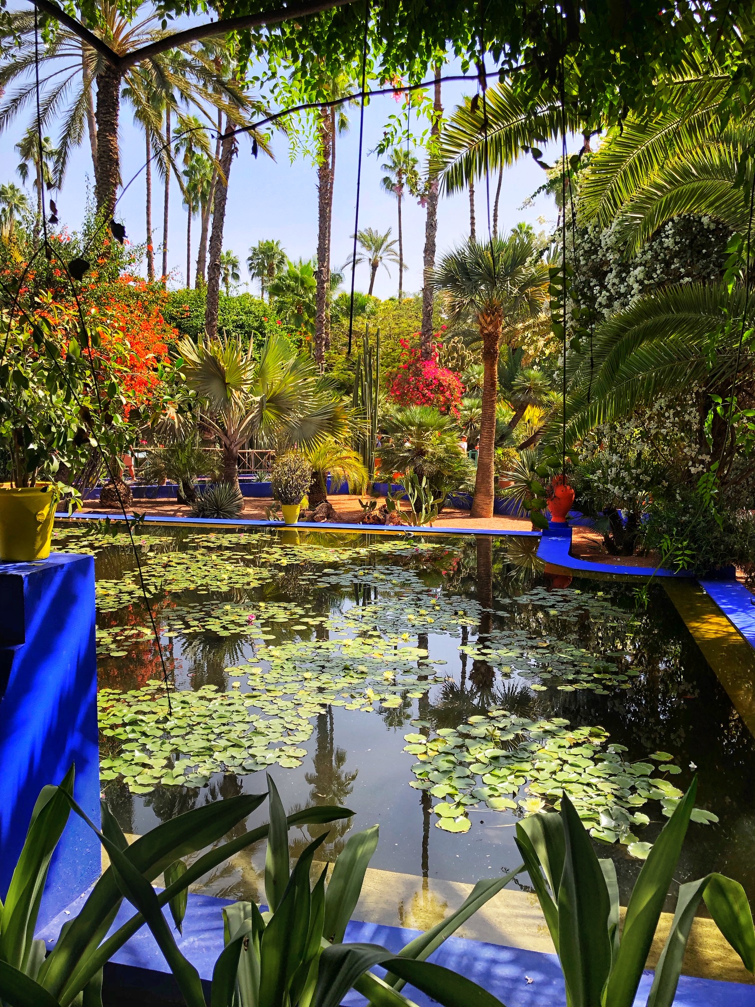 jardin majorelle, ysl museum marrakech, the-alyst.com
