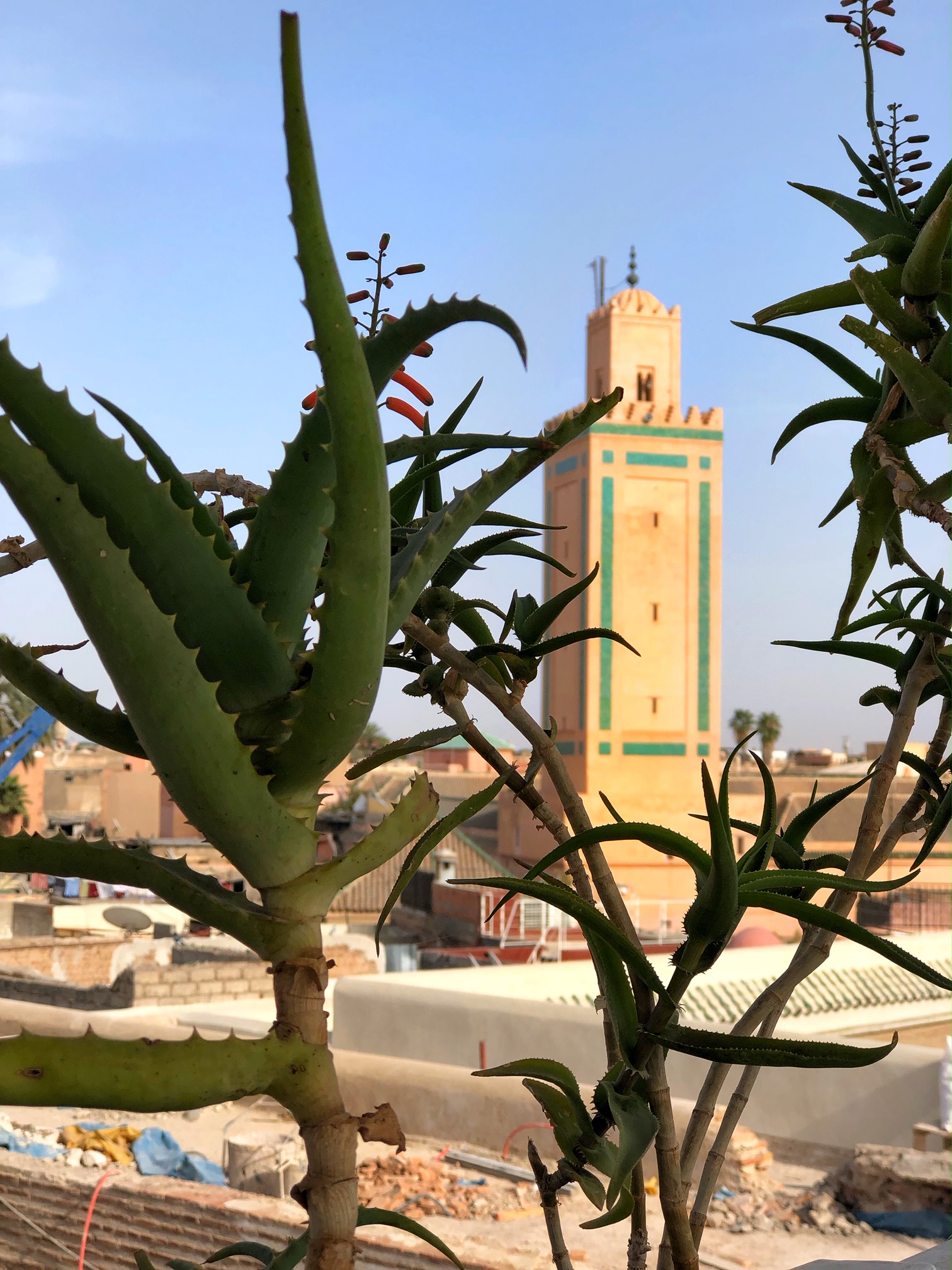 atay cafe, marrakech, the-alyst.com