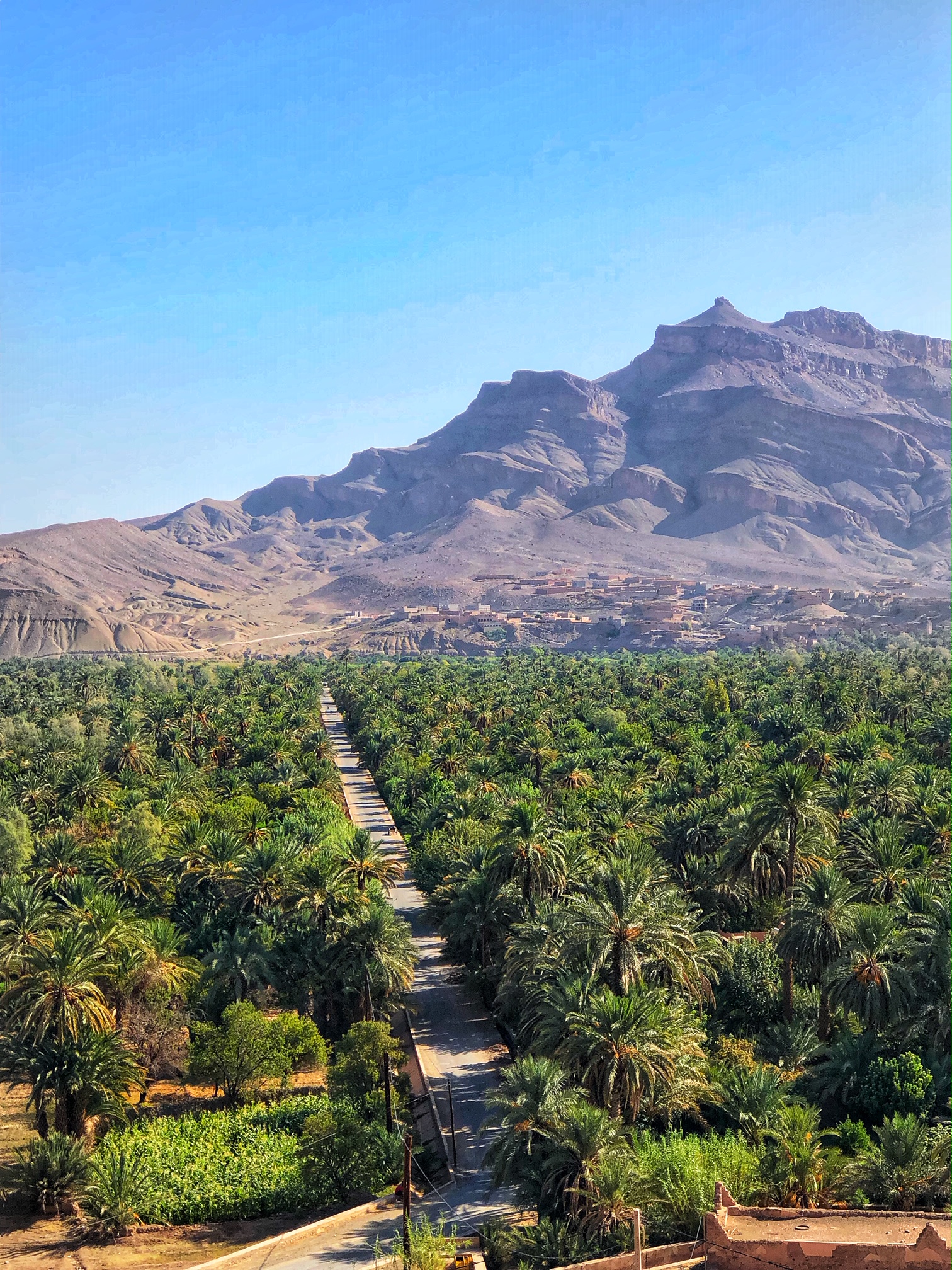 draa valley, morocco, the-alyst.com