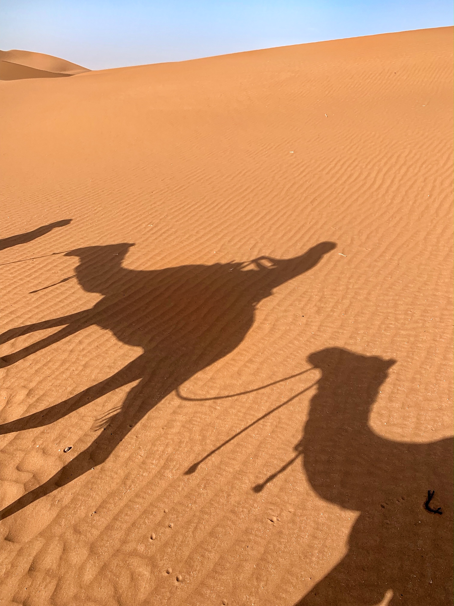 Erg Chigaga Desert Luxury Camp, camel ride, morocco, the-alyst.com
