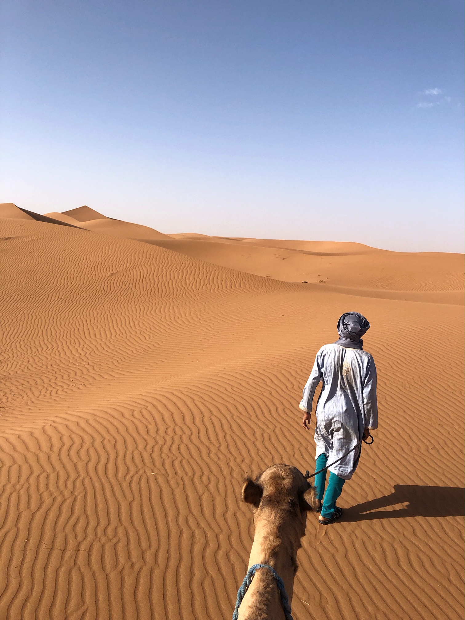 Erg Chigaga Desert Luxury Camp, camel ride, morocco, the-alyst.com