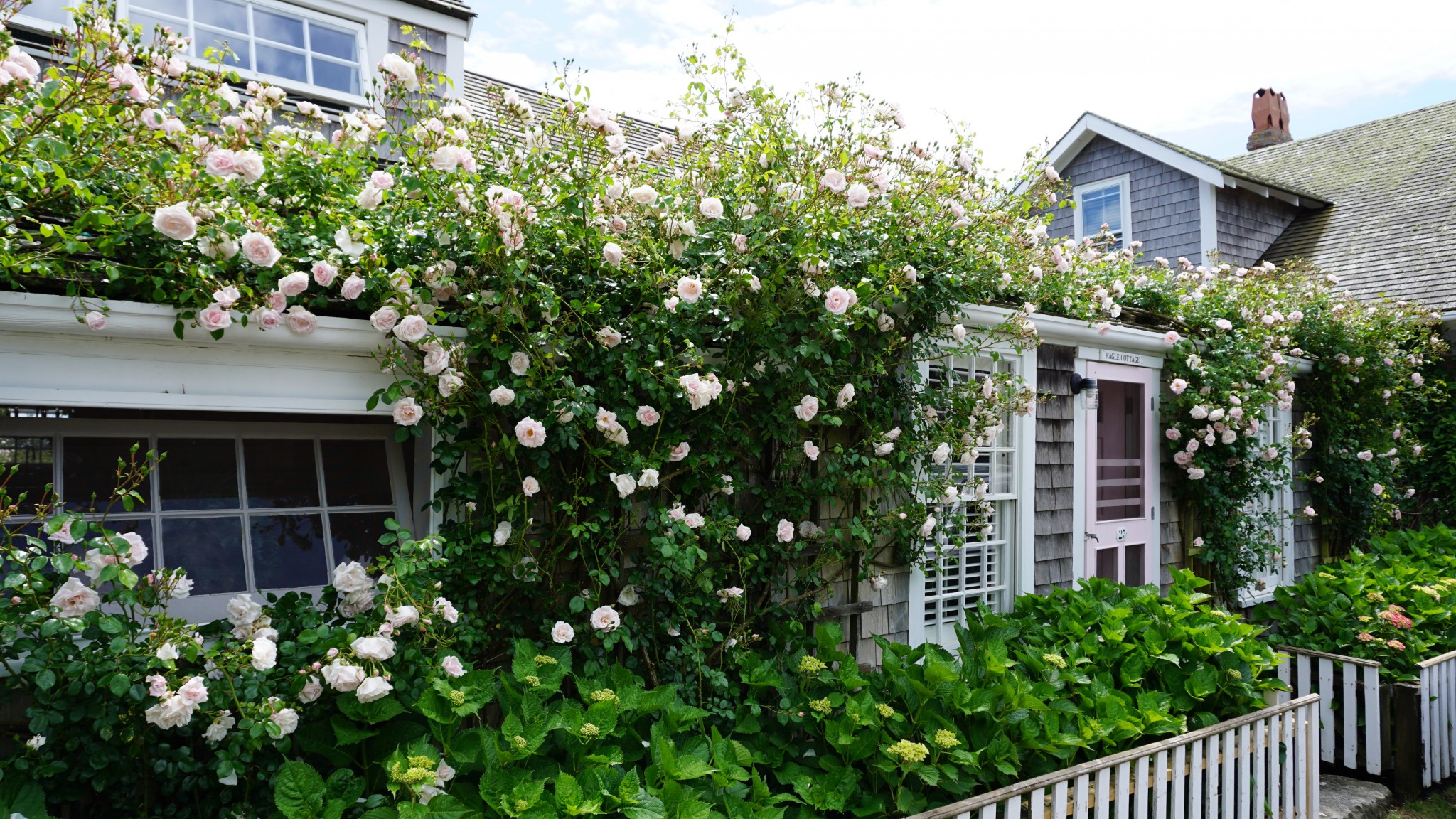 sconset, siasconset, nantucket, the-alyst.com