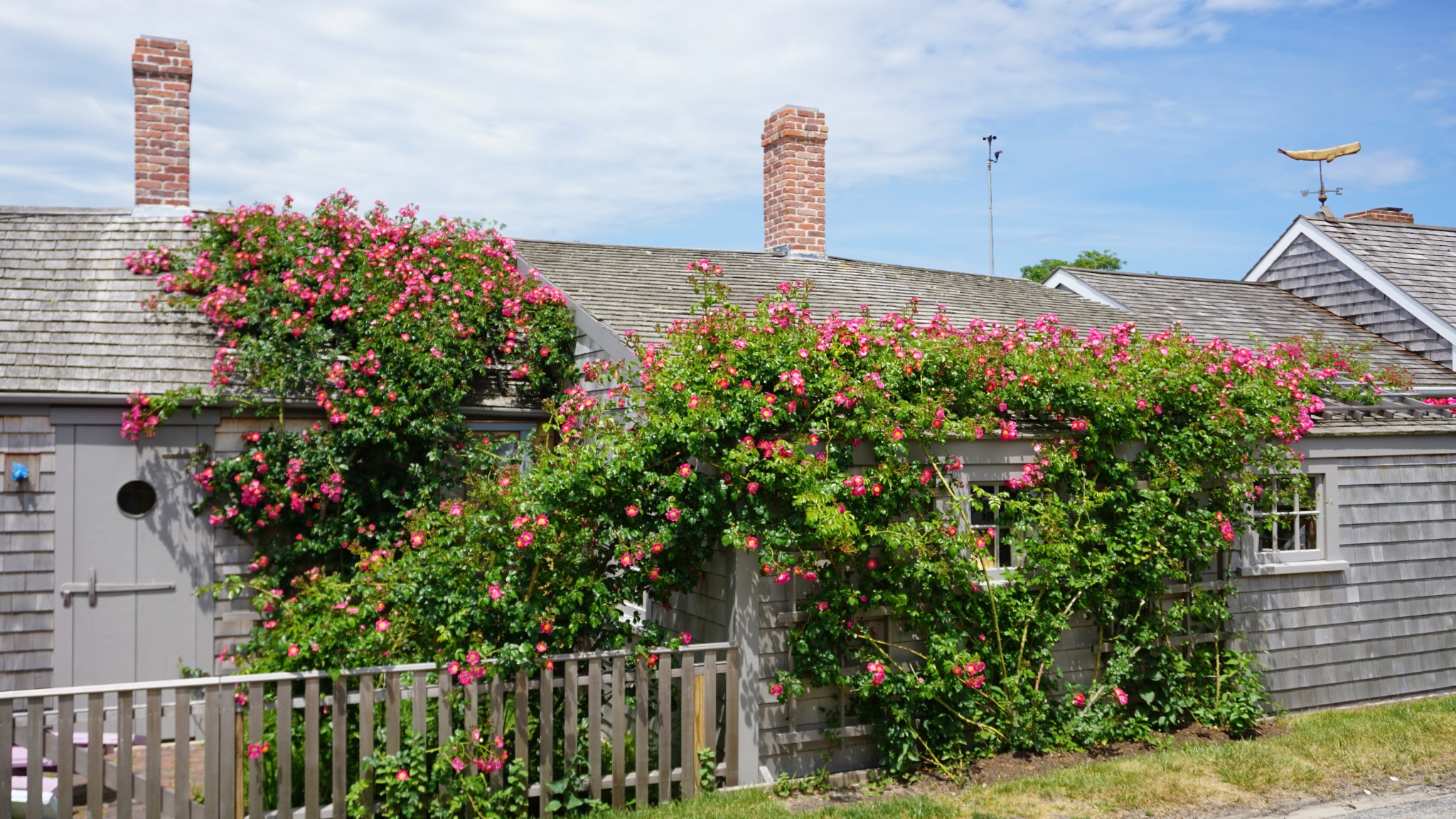 sconset, siasconset, nantucket, the-alyst.com