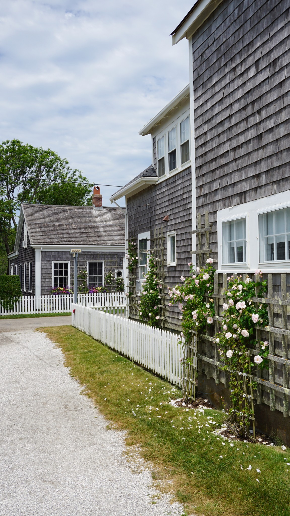 sconset, siasconset, nantucket, the-alyst.com