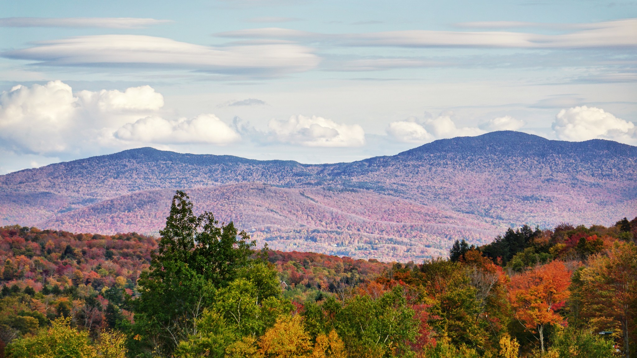 leaf peeping, foliage, stowe, vermont, the-alyst.com