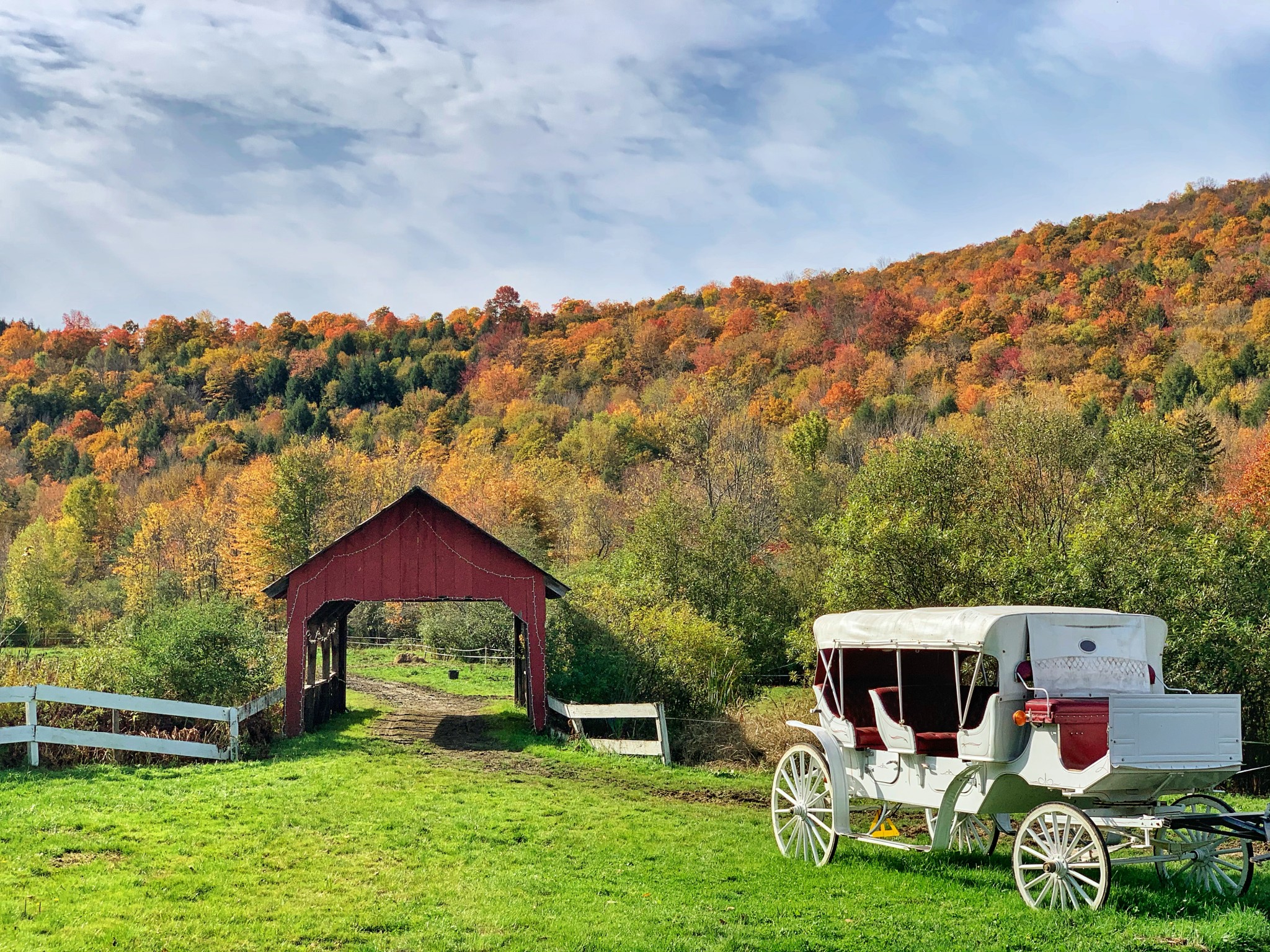 leaf peeping, foliage, stowe, vermont, the-alyst.com