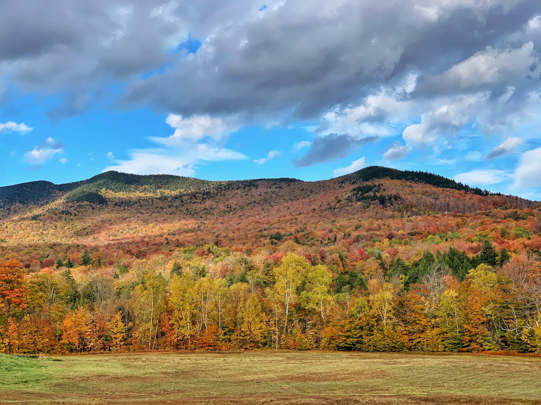 leaf peeping, foliage, stowe, vermont, the-alyst.com