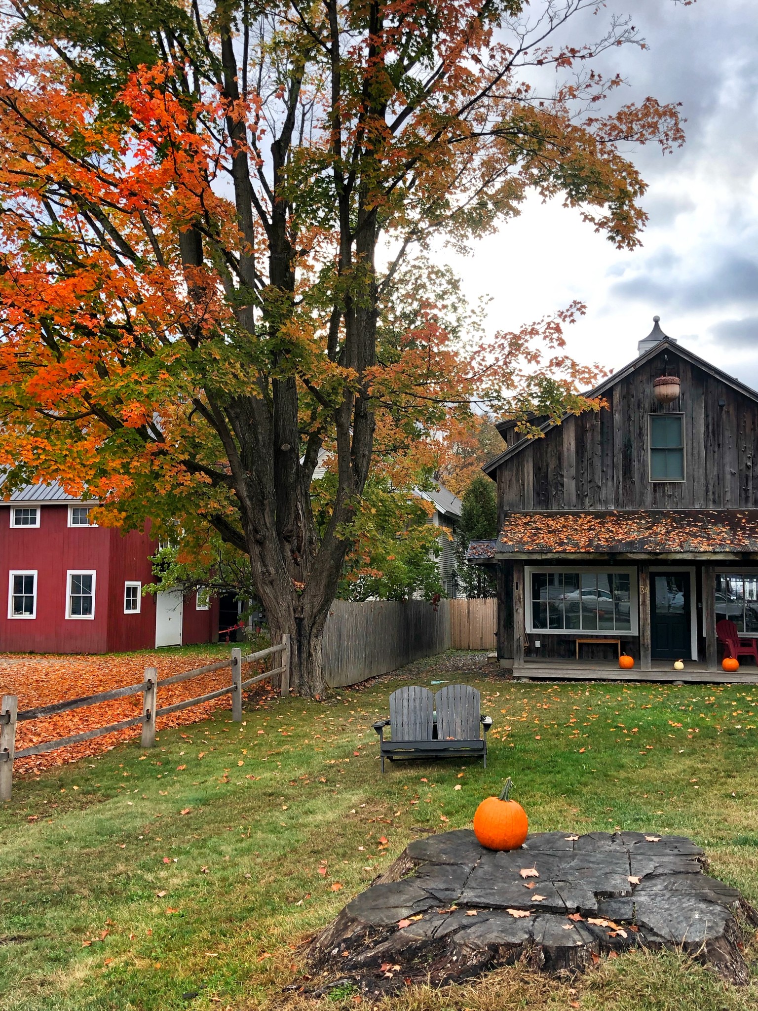 leaf peeping, foliage, stowe, vermont, the-alyst.com